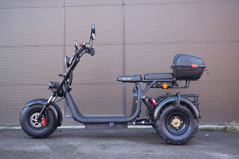 Электроскутер citycoco Trike 2000. Citycoco 3000w трицикл. Вайт СИБИРИЯ электроскутер трехколесный. Электроскутер citycoco 2000w.