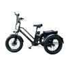 Трехколесный электровелосипед GT-ZV-01 TRIKE