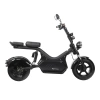 Электроскутер SkyBoard Baikal BR50-3000 PRO MAX 