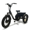 Трехколесный электровелосипед фетбайк  GT-ZV-02 TRIKE