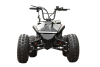 Электроквадроцикл Skyboard CyberTruck Karelia 1800W