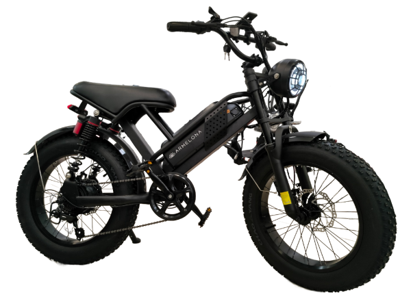 Электровелосипед Armelona AR-2