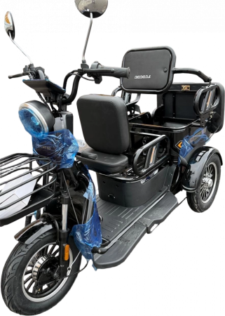Пассажирский электротрицикл Fududu Q3 60V30Ah