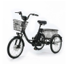 Трехколесный электровелосипед GT-ZV-03 TRIKE