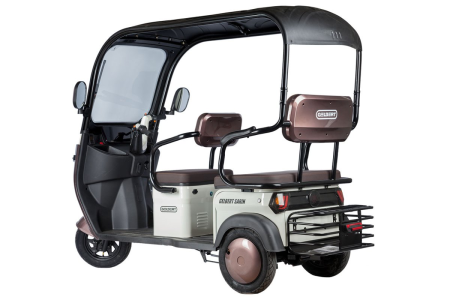 Электротрицикл Rutrike Gelbert Sarin 48V/60V 1000Вт коричнево-белый